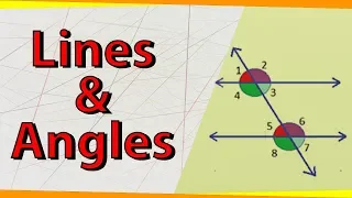 Lines and Angles | Geometry | Math | Letstute