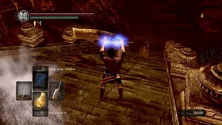 This is what 500 hours of Dark Souls looks like