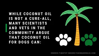 6 Healthy Ways to Use Coconut Oil for Dogs