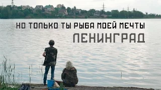 Ленинград - Но только ты рыба моей мечты (Не официальный клип)