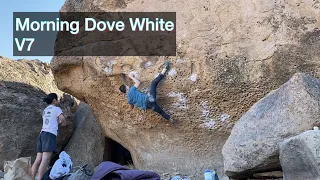 Morning Dove White V7 (7A+)  - Happy Boulders • Bishop Bouldering (CA)