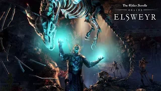 The Elder Scrolls Online: Elsweyr – Некромант: подробный разбор