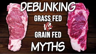 DEBUNKING Grass Fed vs Grain Fed MYTHS