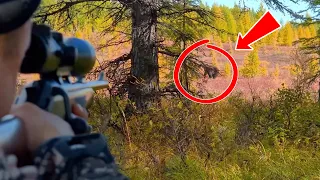 BEAR HUNTING in RUSSIA, KAMCHATKA