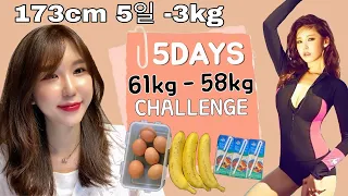 Eng) I TRIED JEON HYO-SUNG'S DIETㅣ5 DAYS -3KG(7lbs) VLOGㅣK-POP IDOL