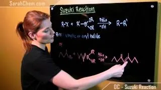 Suzuki Reaction