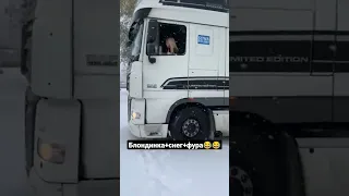 Блондинка за рулём в снегопад 😁 #дальнобой #дальнобойщики #truck #daf #прикол