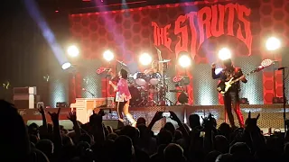 The Struts - Could Have Been Me  (Live St. Paul)