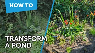How To Transform a Pond | Small Garden Makeover