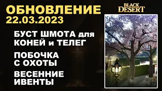 🔔 ПОБОЧКА с ОХОТЫ ♦ БУСТ БРОНИ для ТЕЛЕГ и КОНЕЙ ♦ БДО Обновление 22.03.23 (BDO-Black Desert)