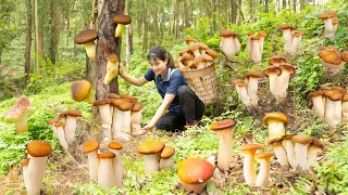 Harvest King Mushroom Goes to market sell,How to grow king mushrooms and process them,