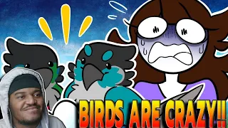 Jaiden Animations My Birds Laid Eggs... REACTION