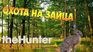 theHunter Call of the Wild #23 - Охота на зайца