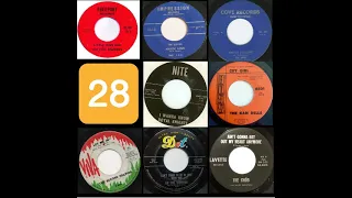 V/A 60'S GARAGE ROCK JEWELS VOL 28