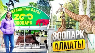 🇰🇿 Прогулка по Алматинскому Зоопарку | Центральный Парк в Алматы | Зелёный рынок, цены на продукты