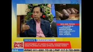 UB: Department of Agriculture, kinumpirmang nasa Pilipinas na ang African Swine Fever