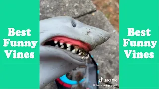 1 Hour Funny Shark Puppet Tik Tok 2023 | Best Shark Puppet Tik Tok