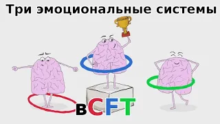 Три эмоциональные системы в CFT (русская озвучка)