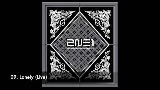 (Live) It Hurts, Lonely, Pretty Boy - 2NE1 (NOLZA Concert)