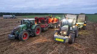 Harvesting Potatoes 4X Fendts & Blum Crop Cart