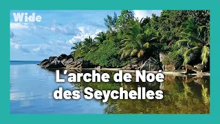 Seychelles : Un paradis retrouvé I WIDE