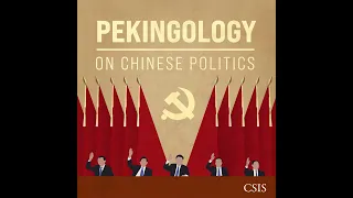 China's New Domestic Politics