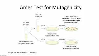 Drug Development and FDA Review Process