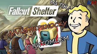 Fallout Shelter [2] Питомец на халяву!