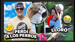 PERDÍ A NUESTROS PERROS 🐶 BROMA A CAROL😈 | Cesar Pantoja ❤️