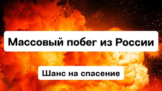 Массовый побег из России. Выдача паспортов беженцам в Европе. Что будет дальше /// Еврорадио