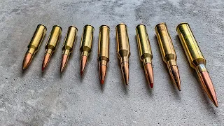 Best Ammo Cartridges for Long Range Shooting 2022 - Madman Review