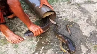 Believe This Fishing? Smart Boy Unique Fish Trapping System Using Long Pipe
