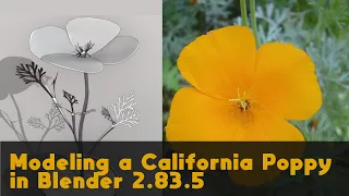 Modeling a California Poppy in Blender 2.83.5 (Time-Lapse/No Textures)