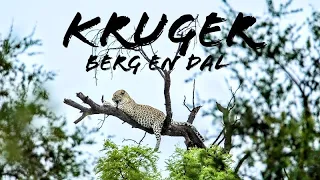 Kruger National Park |  Berg en Dal Rest Camp.