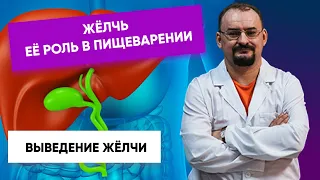 Жёлчь и её роль в пищеварении. Выведение жёлчи из жёлчного пузыря.