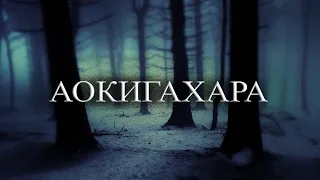 Аокигахара