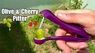 Olive & Cherry Pitter Seed Remover