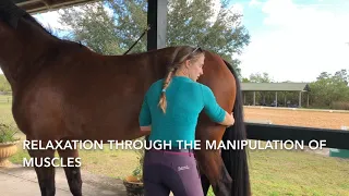 Creating Relaxation Through the Manipulation of Muscles