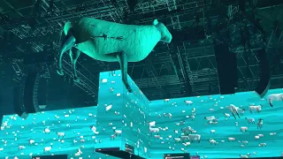 Roger Waters - Sheep - Birmingham Utilita Arena 31/5/2023