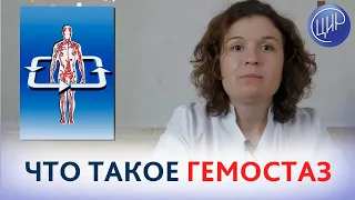 ГЕМОСТАЗ. Что такое гемостаз и как работает система свёртывания крови. Кочанжи М.И.