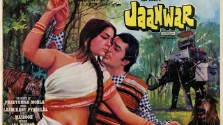 Jaanwar 1982 _ Rajesh Khanna Zeenat Aman Pradeep Kumar