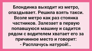 Блондинка Схватила Водителя за Причандалы! Сборник Свежих Смешных Жизненных Анекдотов!