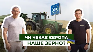 ЧАЙКІВСЬКИЙ: як не “злякати” Європу українською пшеницею та переробляти 50% вирощеного зерна