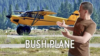 Что такое Bush plane. Почему это почти самая свободная авиация? Вечерние разговоры об авиации