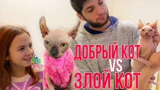 Срочно едем к ветеринару! СФИНКС ЗОВЁТ НА ПОМОЩЬ!! Прививки || Cat vaccination