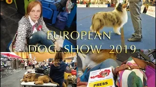DOG VLOG: Евро Дог Шоу 2019, мини-очерк