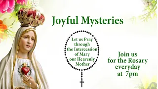 Rosary | 20 May, 2024 | Joyful Mysteries