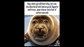 Memes I Found On The Internet (part 31) #funny #funnyvideo #memes #shorts #fyp