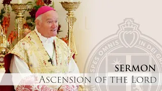 Sermon - How To Desire Heaven & Papal Infallibility- 5/9/24 - H. E. Bishop Fellay