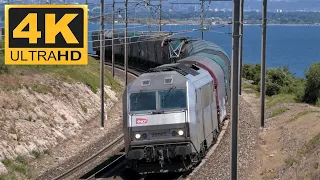 4K | Trains in South of France [Freight and High Speed Trains]